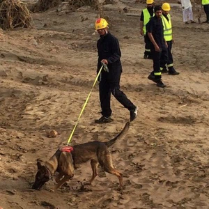 بالصور: رحلة البحث عن مفقود سيول عسير الأخيرة