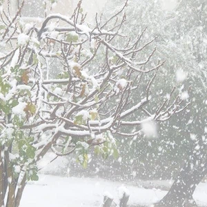 بدر الجديدة غرب العاصمة - تصوير حمزة العبادي