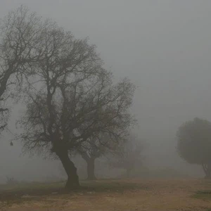 بدر الجديدة - حمزة العبادي