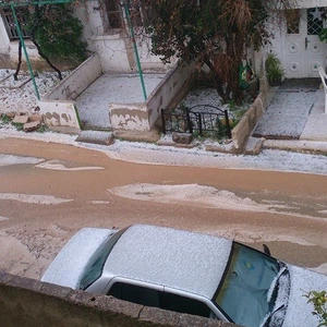 بردية كثيفة في محافظة مادبا بيّضت الأرض- غيث عويمرين