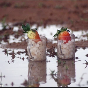 أكواب من الفراولة والبرد - تصوير برق تمير