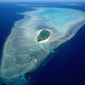 In pictures: Heron Island, Australia