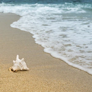 Why is sea water colder than beach sand on a sunny day?