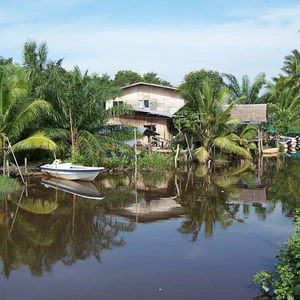 Bruneo Island.. the magic of nature in Malaysia and Indonesia