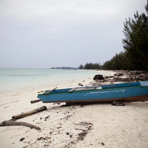 Bruneo Island.. the magic of nature in Malaysia and Indonesia