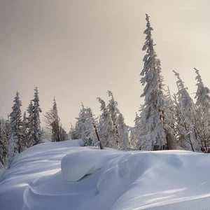 Pictures: Scenes telling the story of the beauty of winter in the Carpathian Mountains..will give you goosebumps