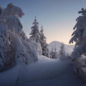 Pictures: Scenes telling the story of the beauty of winter in the Carpathian Mountains..will give you goosebumps