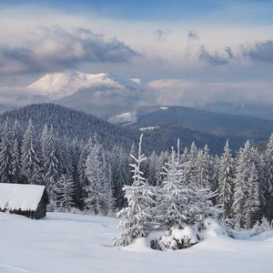 Pictures: Scenes telling the story of the beauty of winter in the Carpathian Mountains..will give you goosebumps