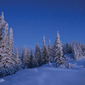 بالصور : مشاهد تروي حكاية جمال فصل الشتاء في جبال الكربات .. ستُصيبك بالقشعريرة