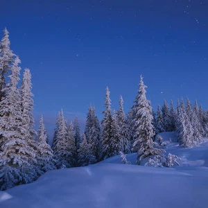 Pictures: Scenes telling the story of the beauty of winter in the Carpathian Mountains..will give you goosebumps