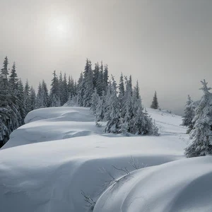 مشاهد تروي حكاية جمال فصل الشتاء في جبال الكربات 