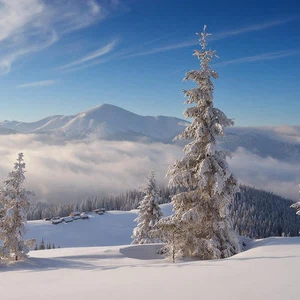 Pictures: Scenes telling the story of the beauty of winter in the Carpathian Mountains..will give you goosebumps