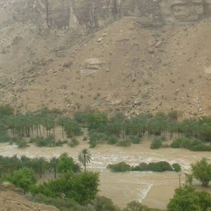 بالصور.. "شابالا" يغرق المكلا ويلحق خسائر مادية فادحة 