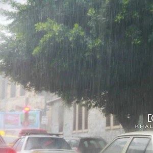  بالصور: الأمطار تتساقط بغزارة على أراضي نابلس