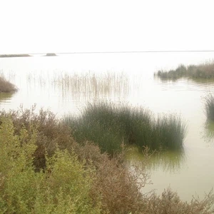 En images : le lac Asfar, la splendeur du désert embrassant l&#39;eau