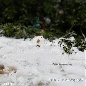 Pictures || This is how some people expressed their joy in snow making Snowman