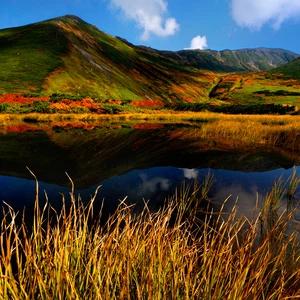 In pictures: 6 places to witness the wonderful fall colors in Japan