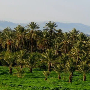 بلدة سحم الكفارات - جمال طبيعي ساحر على ضفاف نهر اليرموك