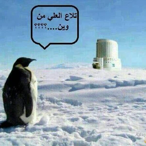 بالصور "اليكسا" تفتح الباب لعشرات النهفات الاردنية 