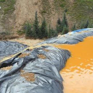 شاهد ردة فعل قطة طردتها مربيتها من المنزل بعد عشرة طويلة 