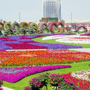 بالصور : حديقة معجزة دبي من اجمل الاماكن التي يمكن زيارتها في عيد الأضحى