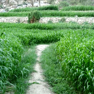 En images, le mont Shada, en bas, embrasse une belle `cicatrice`.