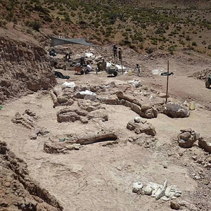 Pictures: Scientists discover fossils of one of the world&#39;s largest dinosaurs in Argentina