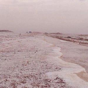 بردية في منطقة حزم الجلاميد - قروب الوسمي
