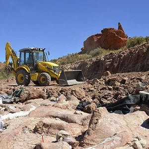 Pictures: Scientists discover fossils of one of the world&#39;s largest dinosaurs in Argentina