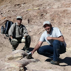Pictures: Scientists discover fossils of one of the world&#39;s largest dinosaurs in Argentina
