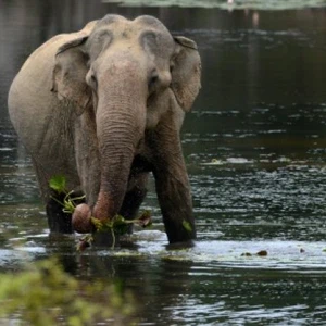نصائح هامة لترشيد استهلاك الكهرباء في المنزل