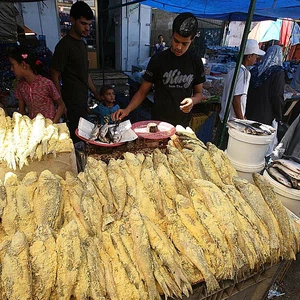 الفسيخ الأكلة المفضلة لدى غالبية الفلسطينيين
