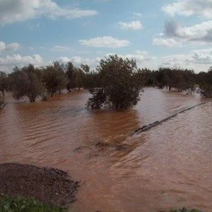 تفاصيل الحالة الجوية في المنطقة الجنوبية من الاثنين وحتى الأربعاء