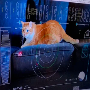 NASA’s Historic Achievement: “Taters” the Space Cat Broadcasts Video from 19 Million Miles Away