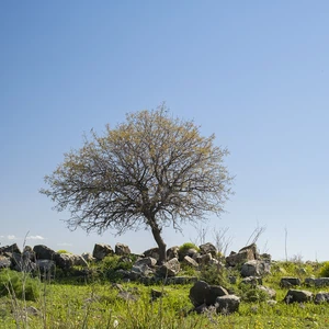 الأردن: مع دفء الأجواء نهاية الأسبوع.. إليكم حالة الطقس ودرجات الحرارة في أهم الأماكن السياحية | عرب تايم الأردن: مع دفء الأجواء نهاية الأسبوع.. إليكم حالة الطقس ودرجات الحرارة في أهم الأماكن السياحية | عرب تايم