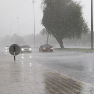 Émirats | La municipalité d'Al Ain annonce sa disponibilité à faire face aux effets attendus de la situation tropicale, Shaheen