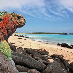 أفضل وقت للسفر إلى الإكوادور وجزر غالابالوس