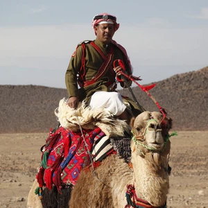 قوات البادية الملكية تنقذ ثلاثة أشخاص مفقودين 