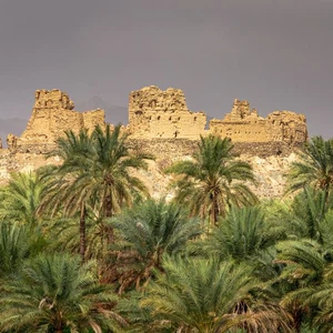 Sultanat d'Oman | Une légère baisse des températures et des vents actifs du nord-ouest soulevant de la poussière dans certaines zones vendredi