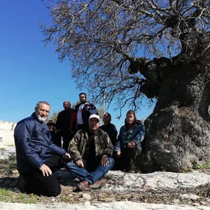المركز الوطني للبحوث الزراعية يطلق خطة لإنقاذ شجرة " الخضر " في منطقة " النقيع " الواقعة بين بلدتي عنبة وكفر كيفيا.