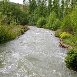 نهر بردى - الربوة - دمشق نهر بردى - الربوة - دمشق