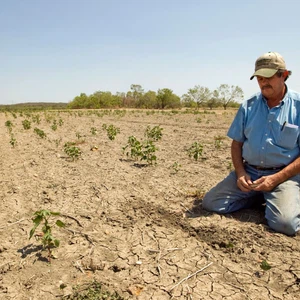 ظروف الطقس القاسية تهدد بتراجع امدادات الغذاء عالميا