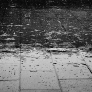 Iraq | Rain is expected, especially during the night hours of tomorrow, Tuesday