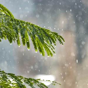 Morocco | An extension of a depression accompanied by strong winds and rain will affect the Kingdom tomorrow, Friday