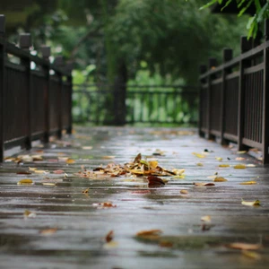 Levant | Météo automnale et risques d'averses de pluie dans certaines régions vendredi