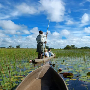 Best time to enjoy safari in Botswana