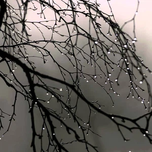 النشرة الجوية الشهرية لتشرين الثاني.. شهر أبرد من المُعتاد و حالات مطرية مُتعددة و فرصة لمنخفض جوي شتوي حول مُنتصفه