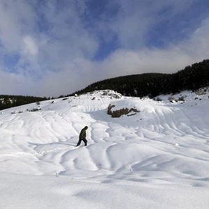 صورة تعبيرية