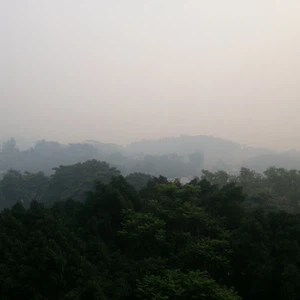 السيول تجبر 46 عائلة في الأغوار على ترك منازلها