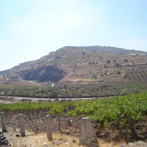 أرشيفية من منطقة تل أحمر - محافظة السويداء أرشيفية من منطقة تل أحمر - محافظة السويداء